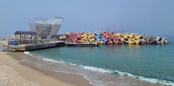 강릉시, 해중공원 내 불가사리 확산방지 나선다