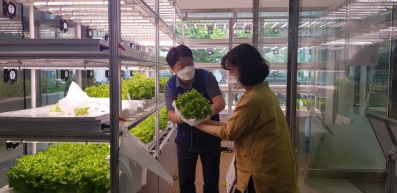 하나로마트 창동점, 스마트팜 농산물 수확체험 행사 실시