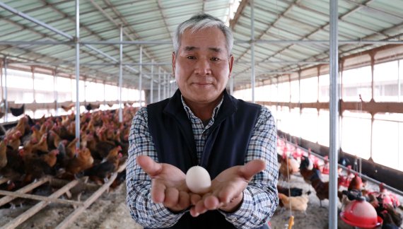 경북 영양군 영양읍 상원리 농업회사법인 닭실재래닭연구소 이몽희 대표가 사육시설에서 암탉이 갓 낳은 계란 하나를 들어 보이고 있다. © 뉴스1