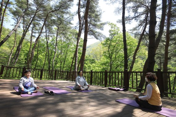 경남 합천 치유의숲에서 명상을 즐기고 있는 여행객들 / 한국관광공사 제공