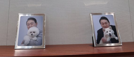 [서울=뉴시스] 전신 기자 = 25일 서울 용산 대통령실 청사 대통령 집무실에 윤석열 대통령이 반려견과 함께 촬영한 기념사진이 놓여 있다. (대통령실통신사진기자단) 2022.05.25. photo1006@newsis.com