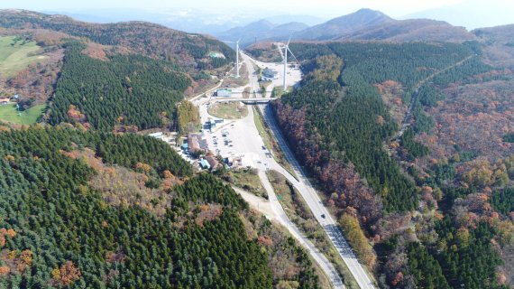 산림청 ‘국유림 명품숲’ 대관령 특수조림지 등 5곳 선정