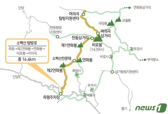 © News1 김초희 디자이너