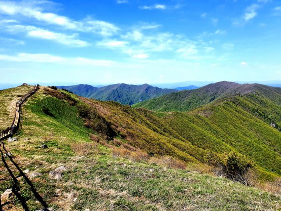 비로봉에서 바라본 소백산 북쪽 백두대간. 오른쪽 끝부분 국망봉, 가운데 능선의 중앙 신선봉, 맨 뒤에 형제봉이 어른거린다 © 뉴스1
