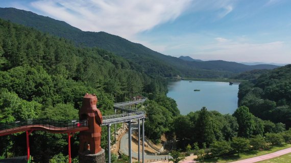 '놀이숲'이라는 별명을 가지고 있는 전남 보성군 소재 제암산자연휴양림이 모험시설 운영을 본격 재개했다.사진은 새로운 모험시설인 곰썰매 전경.사진=보성군 제공