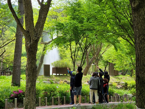 경기도 가평 국립유명산자연휴양림의 자생식물원 숲해설 프로그램 진행 모습.
