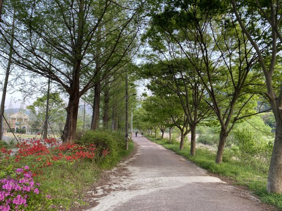 전주 바람쐬는길 /사진=한국관광공사