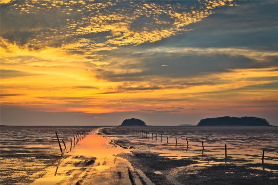 해양생태계의 보고(寶庫) 전북 고창 갯벌(고창군 제공)© 뉴스1