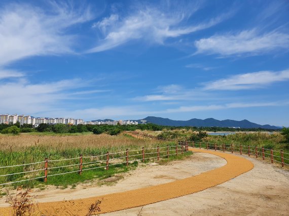 부산 강서구 신호 인공철새도래지 명품둘레길.(김도읍 의원실 제공)© 뉴스1