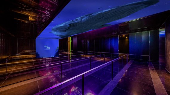 롯데월드 서울스카이 미디어 아트 특별전 '나는 고래' 중 '여정, 서울시 하늘바다 고래로 300'