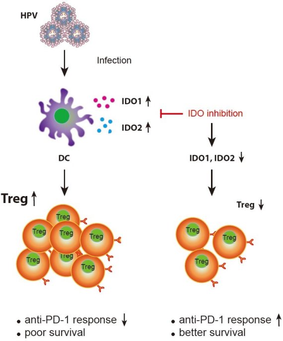 © 세브란스병원 제공