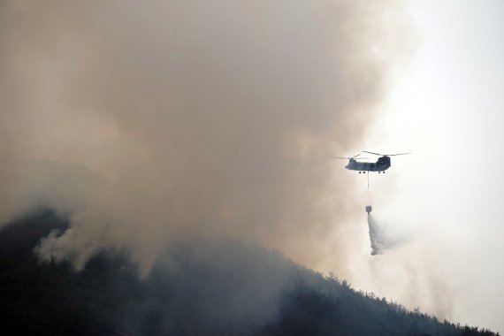 1일 오전 경남 밀양시 부북면 산불현장에서 산불진화헬기들이 물을 뿌리며 산불을 진화하고 있다. 사진=산림청 제공