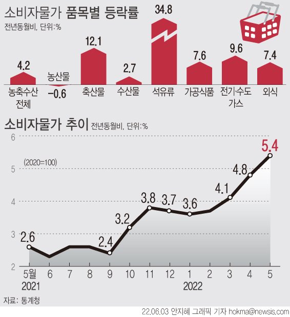 [서울=뉴시스] 지난달 소비자물가가 5.4% 오르며 2008년 9월(5.1%) 이후 13년 9개월 만에 5%대 상승률을 기록했다. 석유류와 가공식품 등 공업제품 가격 오름세가 지속되고 개인서비스 가격도 높은 오름세를 유지했다. (그래픽=안지혜 기자) hokma@newsis.com
