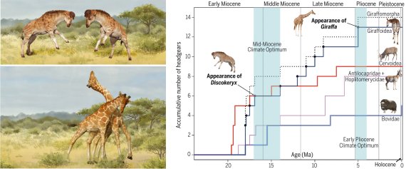 사이언스지에 발표된 초기 기린 진화 이유를 설명한 보고서.(사이언스 홈페이지 캡처)© 뉴스1