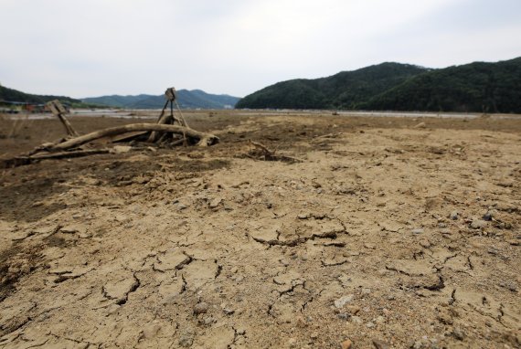 5일 경기 용인시 이동저수지가 이른 폭염과 가뭄이 이어지면서 말라가고 있다. 2022.6.5/뉴스1 © News1 구윤성 기자