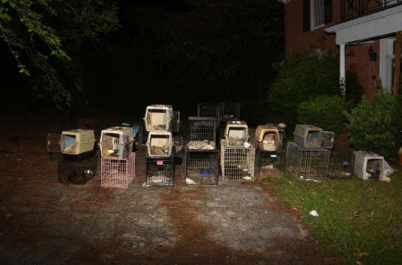 美동물구조단체 대표 집에서 개·고양이 수십마리 숨진 채 발견