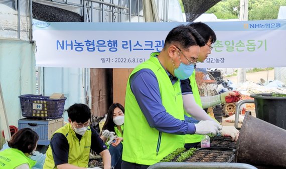 NH농협은행 리스크관리부문 반채운 부행장(오른쪽)과 직원들이 지난8일 경기도 광주 화훼농가를 찾아 일손돕기를 실시하고 있다. NH농협은행 제공