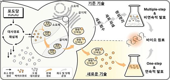 [대전=뉴시스] 기존에 세포를 파괴·분해 후 추출까지 여러 단계를 거치던 것을 화학연 공동연구팀은 하나의 자동화된 단계로 구현했다. 이 기술은 연속 발효 공정이 가능해 바이오원료의 생산량을 늘리는 데 효과적이다. *재판매 및 DB 금지