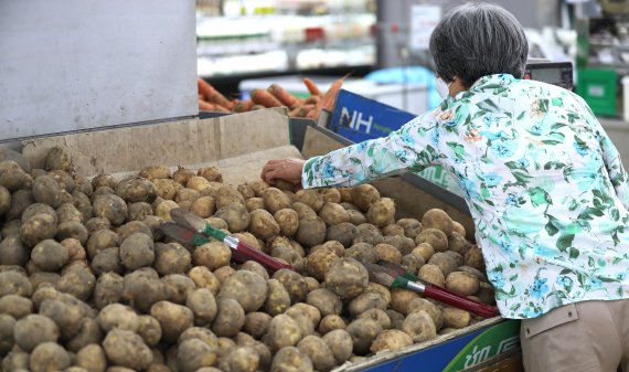 [서울=뉴시스] 백동현 기자 = 10일 오후 서울 시내 한 대형마트에서 시민들이 장을 보고 있다. 이날 통계청에 따르면 지난달 소비자물가지수 조사 대상 458개 품목 중 93개 품목의 가격 상승률이 10% 이상인 것으로 집계됐다. 이 중 양배추 54.6%, 경유 45.8%, 국수 33.2%, 감자 32.1% 무 31.3% 등 식료품과 에너지 품목이 가격 상승률 상위권에 올랐다. 2022.06.10. livertrent@newsis.com