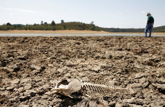 200만 주민의 식수원 역할하던 칠레 호수, 13년 가뭄에... 참혹한 결과