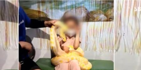 대전서 동물 만지기 체험하다 벌어진 '대참사', 6세 아동 비단뱀과 사진 찍다... '소름'
