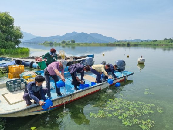 경남 밀양시가 사라져 가는 토종어류의 자원 확충과 보전을 위해 15일 단장면 사연리 곰소유원지 단장천 일대에 메기 치어 3000마리를 방류했다. 사진은 지난 10일 밀양시 관계자들이 밀양강에서 치어를 방류하는 모습. (밀양시 제공) © 뉴스1