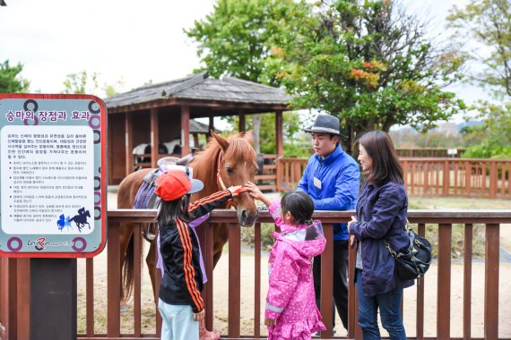 어린이 승마체험을 위한 포니승마장