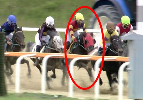 지난 10일 제주 제2경주에 출전한 2번 말 아라장군이 역주하는 모습. (사진=한국마사회 경기영상 캡처)