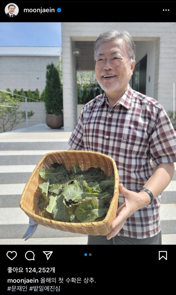 [서울=뉴시스] 조수정 기자 = 문재인 전 대통령이 19일 인스타그램에 '올해의 첫 수확은 상추' 라는 글과 '밭일에 진심' 해시태그를 적은 게시물과 함께 상추를 들고 있는 사진을 게시했다. 이날 문 전 대통령은 자신의 인스타그램에 이 게시물을 포함 4개의 게시물을 올렸다. (사진=문재인 전 대통령 SNS 캡처) 2022.06.19. photo@newsis.com *재판매 및 DB 금지