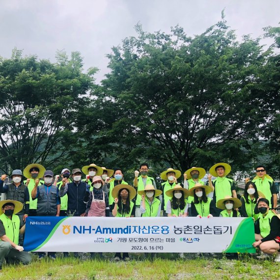 NH-Amundi운용 임직원들,&nbsp;가평 자매결연 마을 '포도농가 일손돕기' 진행&nbsp;