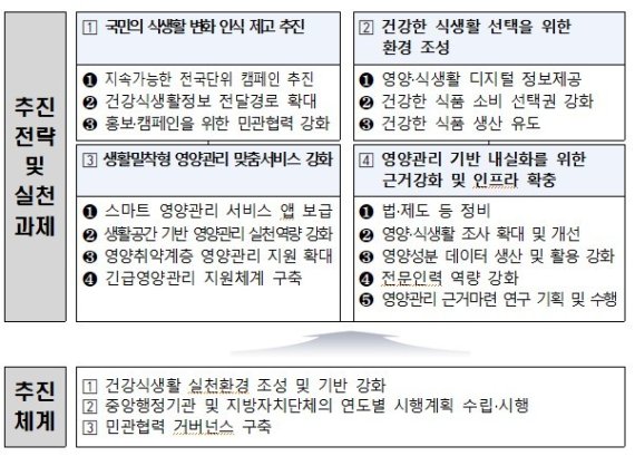 제3차 국민영양관리기본계획 비전과 추진과제 (4대 추진전략, 15개 추진과제, 29개 세부과제) (보건복지부 제공) © 뉴스1