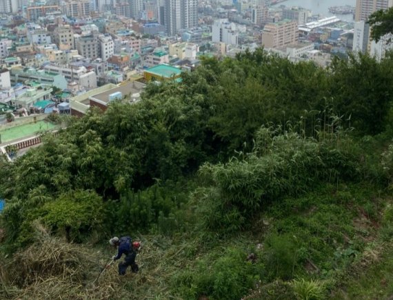 의료관광센터가 들어설 부산 서구 남부민동 부지의 원래 모습.(건축주 제공)/ 뉴스1