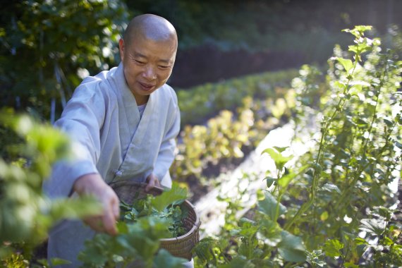 [서울=뉴시스] 정관 스님. (사진=한국불교문화사업단 제공) 2022.06.25. photo@newsis.com *재판매 및 DB 금지