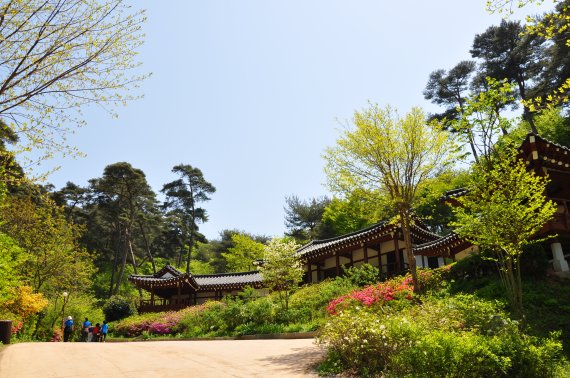 충남 태안 안면도 자연휴양림 한옥동 전경