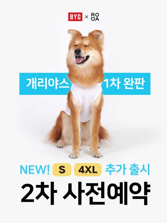 BYC 반려견용 쿨런닝 '개리야스', 사전 예약판매 시작