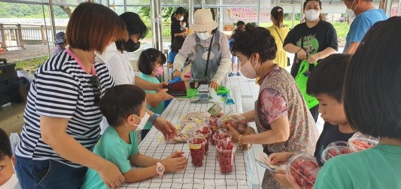 보은군 회남초 병설유치원 원아들이 녹색장터에서 농산물을 팔고 있다. (보은교육지원청 제공)© 뉴스1