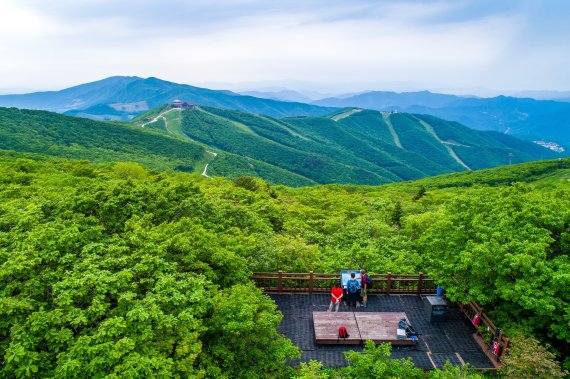고원에서 내려다 본 백두대간 경관(하이원리조트 제공)© 뉴스1