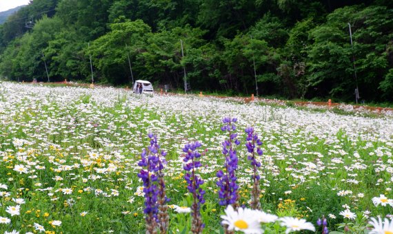 하늘길 카트투어© 뉴스1 윤슬빈 기자