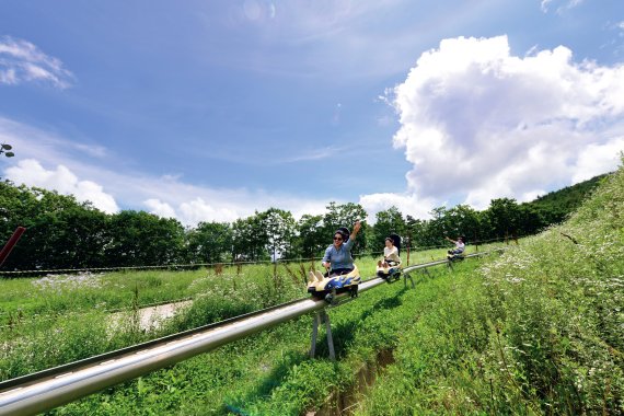 알파인코스터(하이원리조트 제공)© 뉴스1