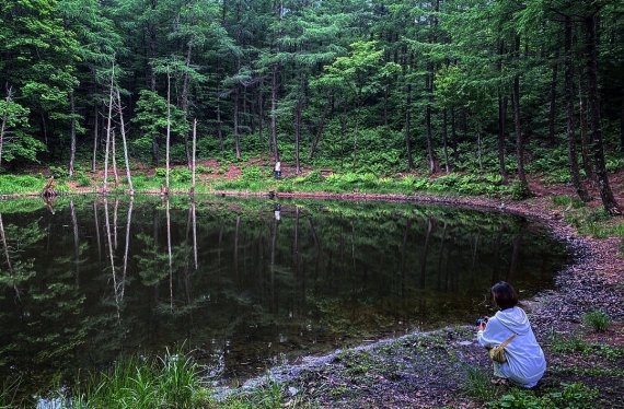 하이원리조트의 숨은 보석 같은 명소로 최근 SNS 인증샷 명소로도 알려지기 시작했다© 뉴스1