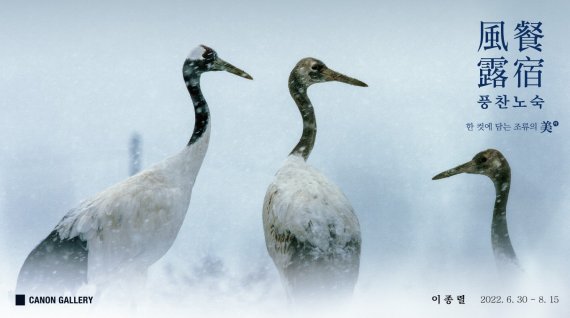 [서울=뉴시스]이종렬 사진전