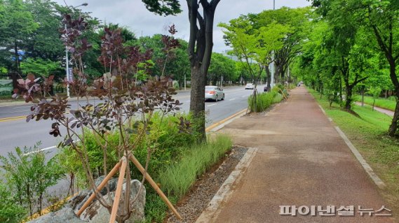 고양시 빗물 모으는 가로숲길 조성…백마~곡산역