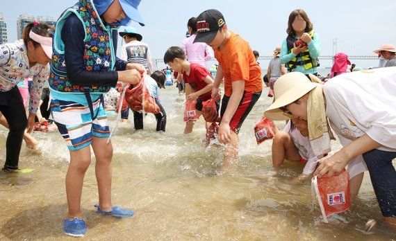 광안리 조개잡이 체험행사.(수영구 제공) © 뉴스1