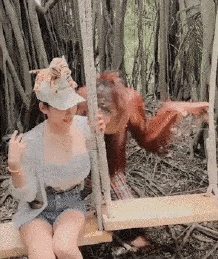 (유튜브 갈무리) © 뉴스1