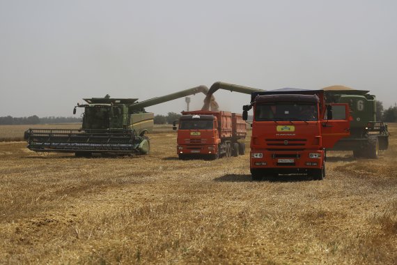 [트빌리스카(러시아)=AP/뉴시스]지난 2021년 7월21일 러시아 트빌리스카야 마을 인근 밀밭에서 농부들이 밀을 수확하고 있다. 러시아와의 전쟁이 격화되면서 우크라이나 정부가 9일(현지시간) 밀, 귀리, 그리고 세계 식량 공급에 필수적인 다른 식품들의 수출을 금지했다. 2022.3.10