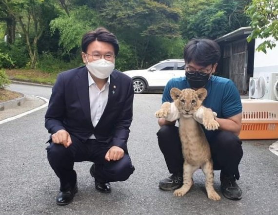 황운하 더불어민주당 의원(왼쪽)이 지난해 대전오월드에서 아기사자 한강이와 포즈를 취하고 있다.(황운하 의원실 제공)© 뉴스1