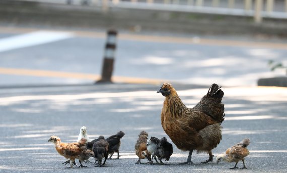 (사진은 기사 내용과 무관함) © News1