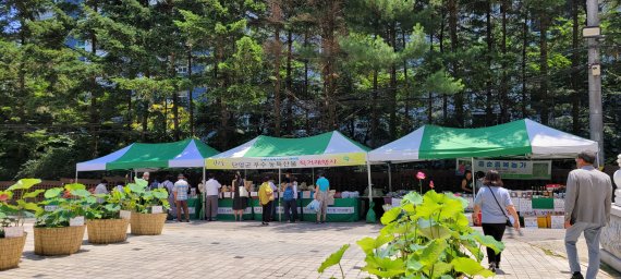 지난 5일 서울 서초구 관문사에 열린 단양군 농특산물 판매행사 모습.© 뉴스1