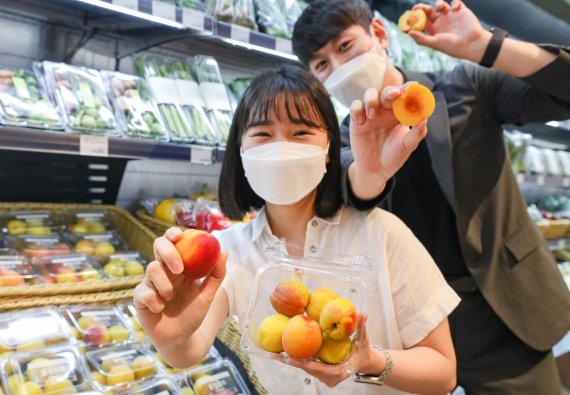 현대백화점 직원들이 하모니 플럼코트를 소개하고 있다. 현대백화점 제공.