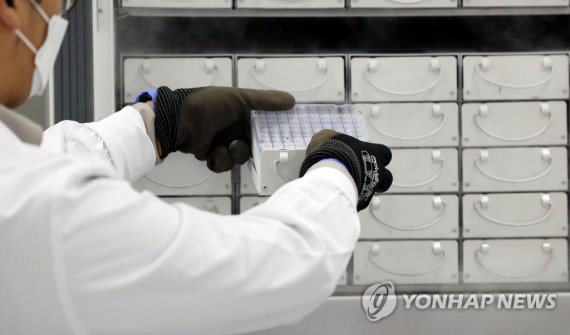 저온냉장고 국내 첫 백신 접종자 검체 보관 (청주=연합뉴스) 천경환 기자 = 21일 충북 청주시 공공백신개발지원센터에서 한 연구원이 SK바이오사이언스가 개발해 임상시험을 3상까지 완료한 국내 첫 코로나19 백신 접종자 검체를 저온저장고에 보관하고 있다. 2021.12.21 kw@yna.co.kr (끝)